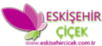 Eskişehir Çiçek
